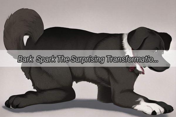 Bark  Spark The Surprising Transformation of Mans Best Friend with Vinegar